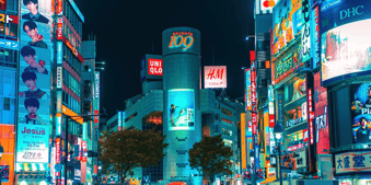 Health and Care Strategies for Ageing Populations: Japan case study