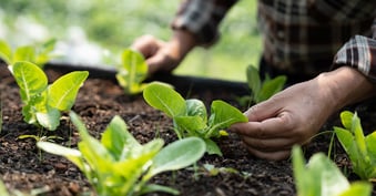 The links between climate change and public health